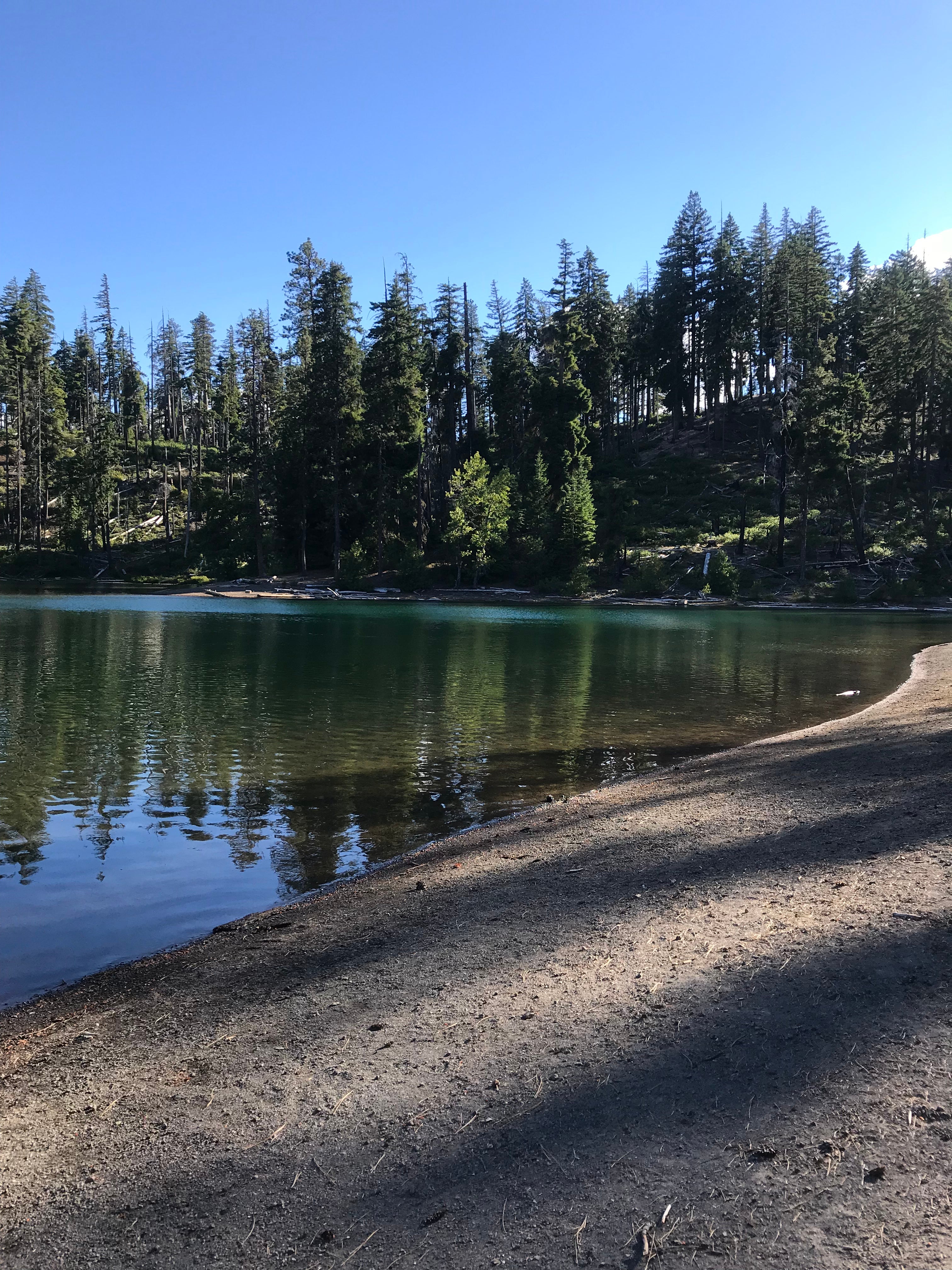 Camper submitted image from Scout Lake - 3