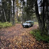Review photo of Judge C. R. Magney State Park Campground by TJ N., October 15, 2021