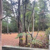 Review photo of Kiptopeke State Park Campground by Callie D., October 15, 2021