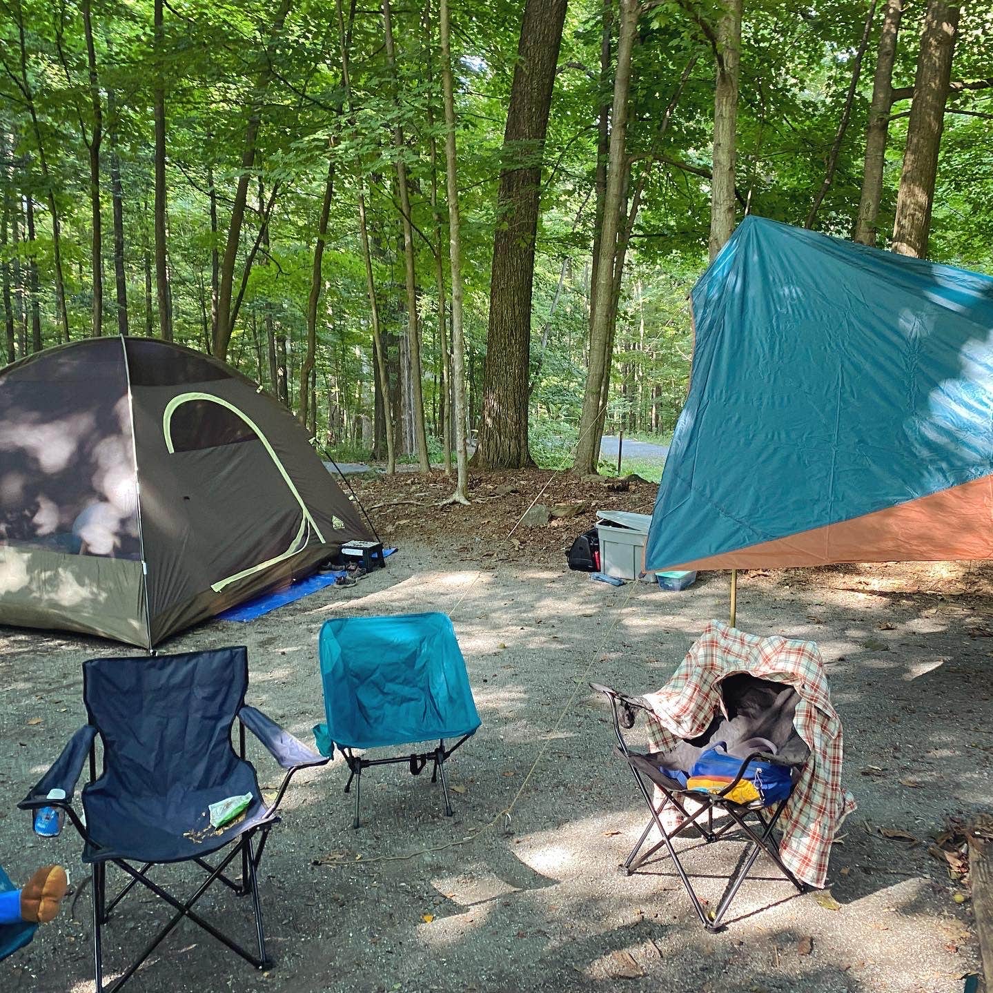Cunningham Falls State Park Manor Area Camping | Thurmont, Maryland
