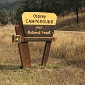 Review photo of Osprey by CC C., October 15, 2021