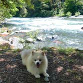 Review photo of Staircase Campground — Olympic National Park by Samantha H., October 15, 2021