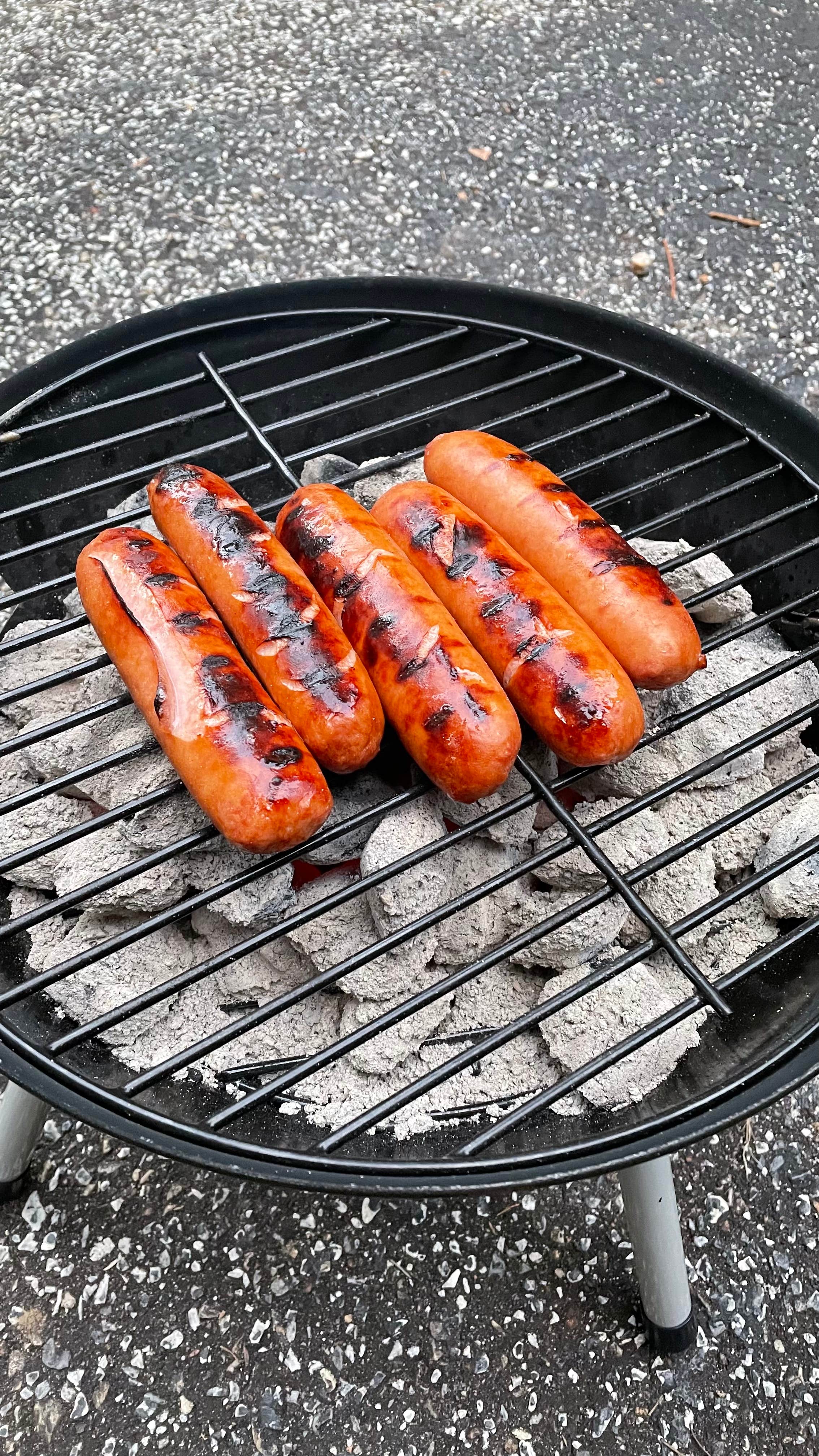 Kevin A.'s photo of camping with pets at Iron City Campground, Inc. near Gastonia, NC