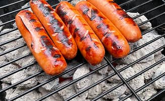 Kevin A.'s photo of camping with pets at Iron City Campground, Inc. near Spartanburg, SC