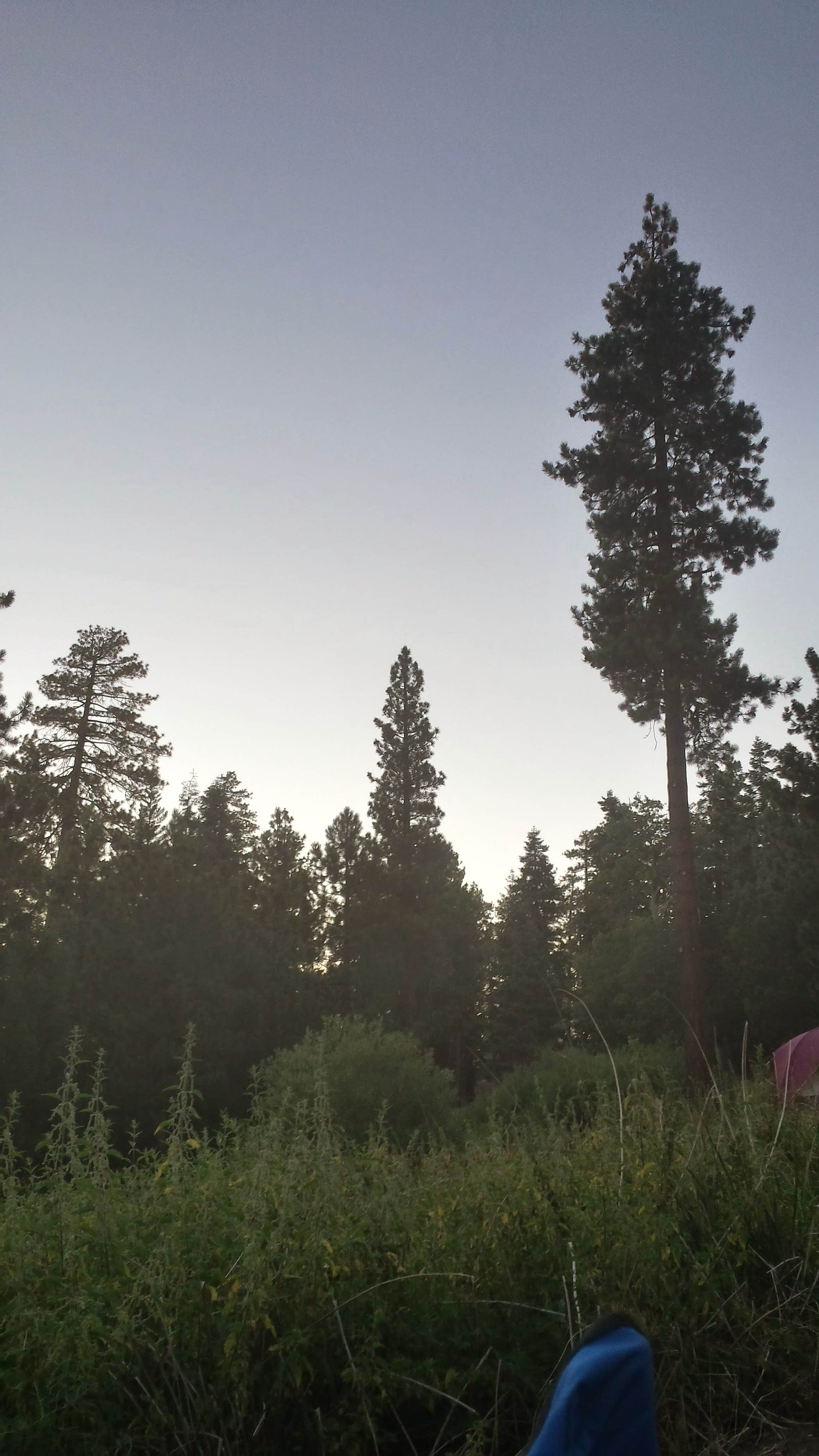Bradley W.'s photo at Lake Arrowhead - Green Valley Lake Recreation Area near Crestline, CA