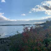 Review photo of Narrows Too Camping Resort by Erin , October 15, 2021