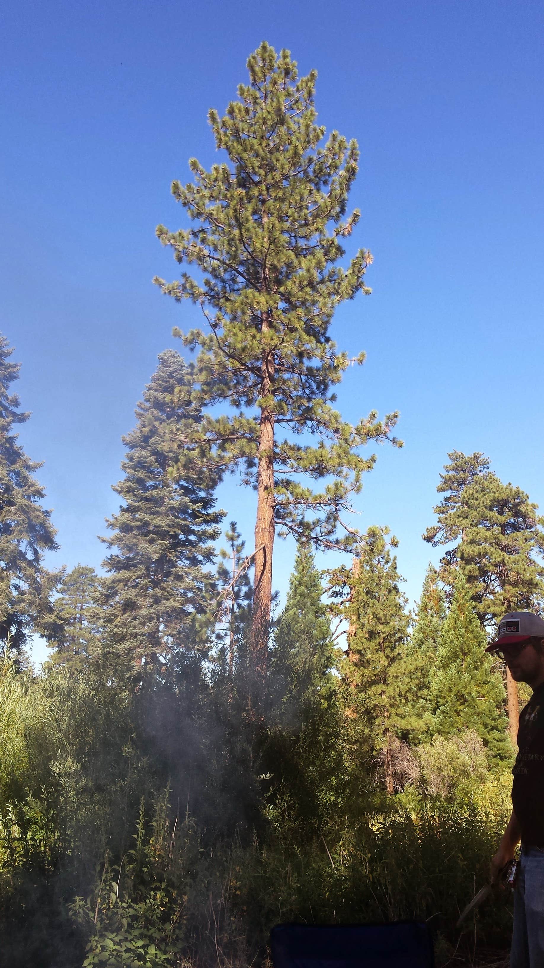 Camper-submitted photo at Lake Arrowhead - Green Valley Lake Recreation Area near Running Springs, CA