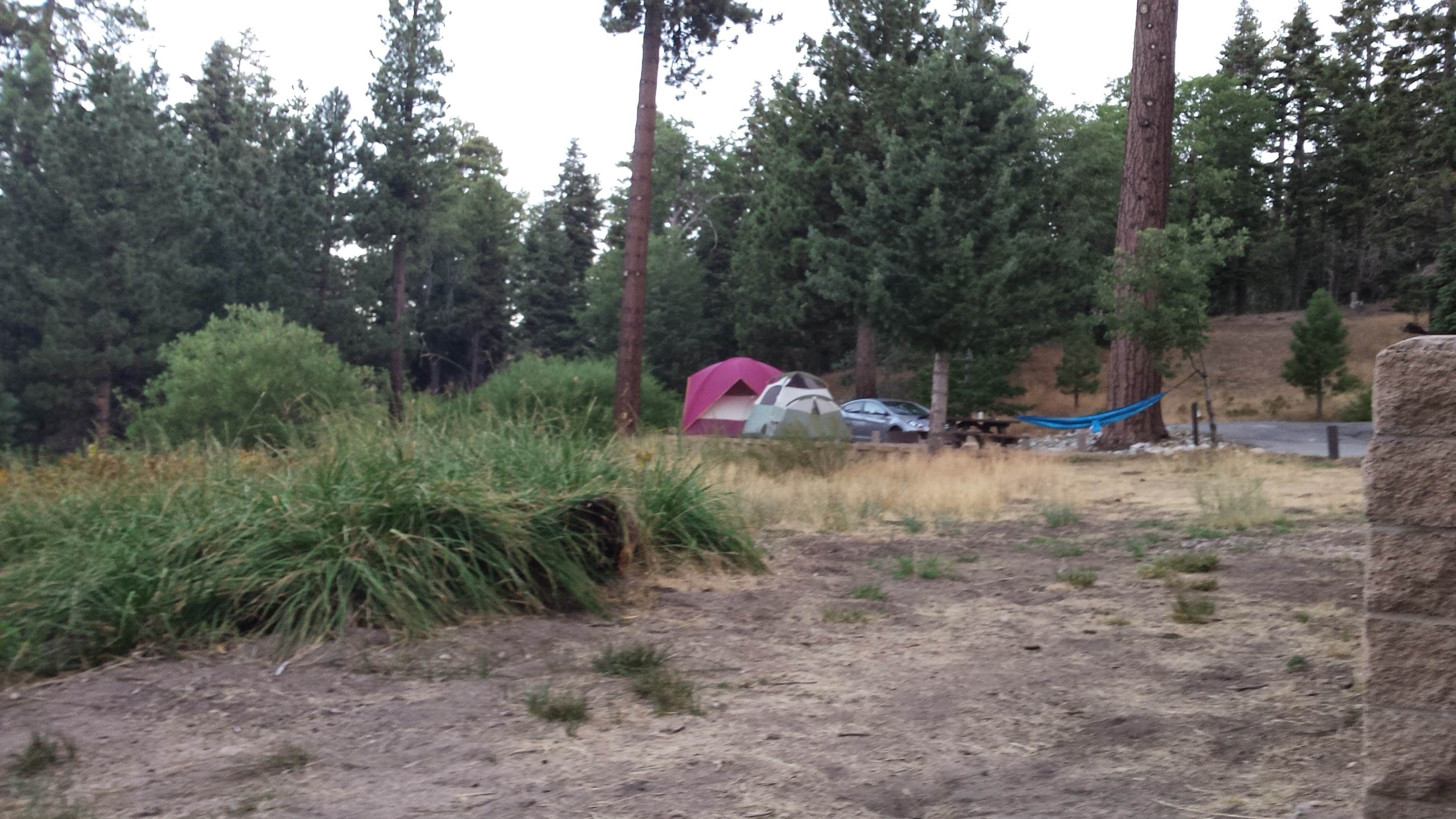 Bradley W.'s photo of tent camping at Lake Arrowhead - Green Valley Lake Recreation Area near Running Springs, CA
