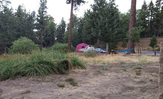 Bradley W.'s photo at Lake Arrowhead - Green Valley Lake Recreation Area near Skyforest, CA