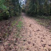 Review photo of Pine Campground — Sand Ridge State Forest by Adam F., October 15, 2021