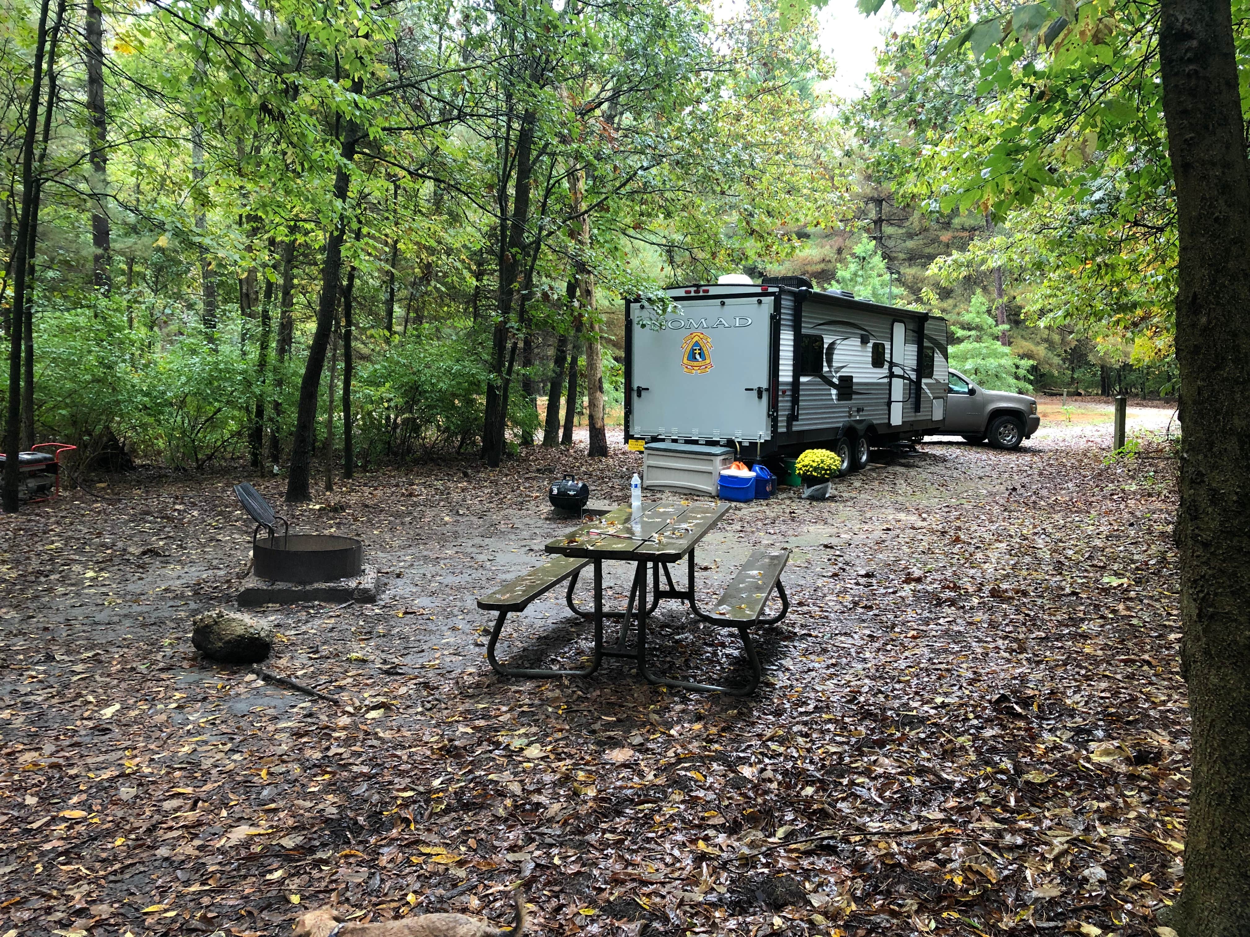 Adam F.'s photo at Pine Campground — Sand Ridge State Forest near Bartonville, IL