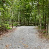 Review photo of Greenbrier State Park Campground - TEMPORARILY CLOSED by Kate S., October 15, 2021