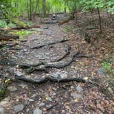 Review photo of Greenbrier State Park Campground - TEMPORARILY CLOSED by Kate S., October 15, 2021