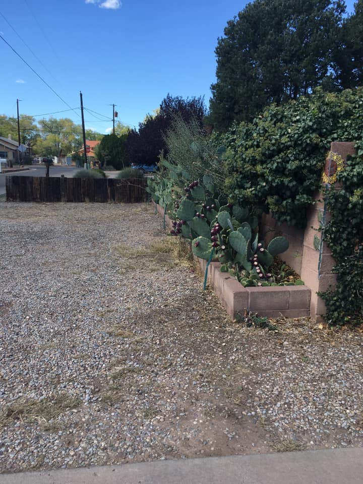 Camping near American RV Resort: Van Life Safety Zone, Albuquerque, New Mexico