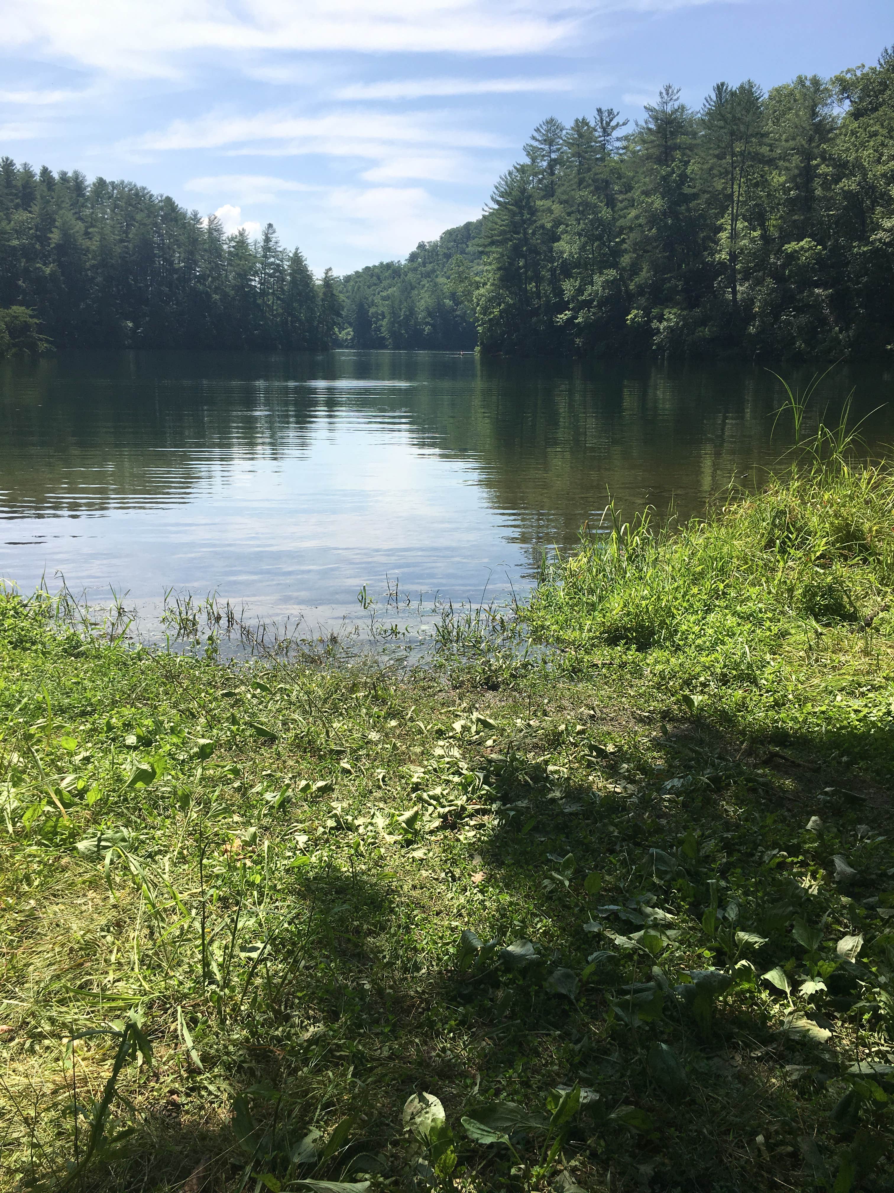 Camper-submitted photo at Horse Cove near Robbinsville, NC