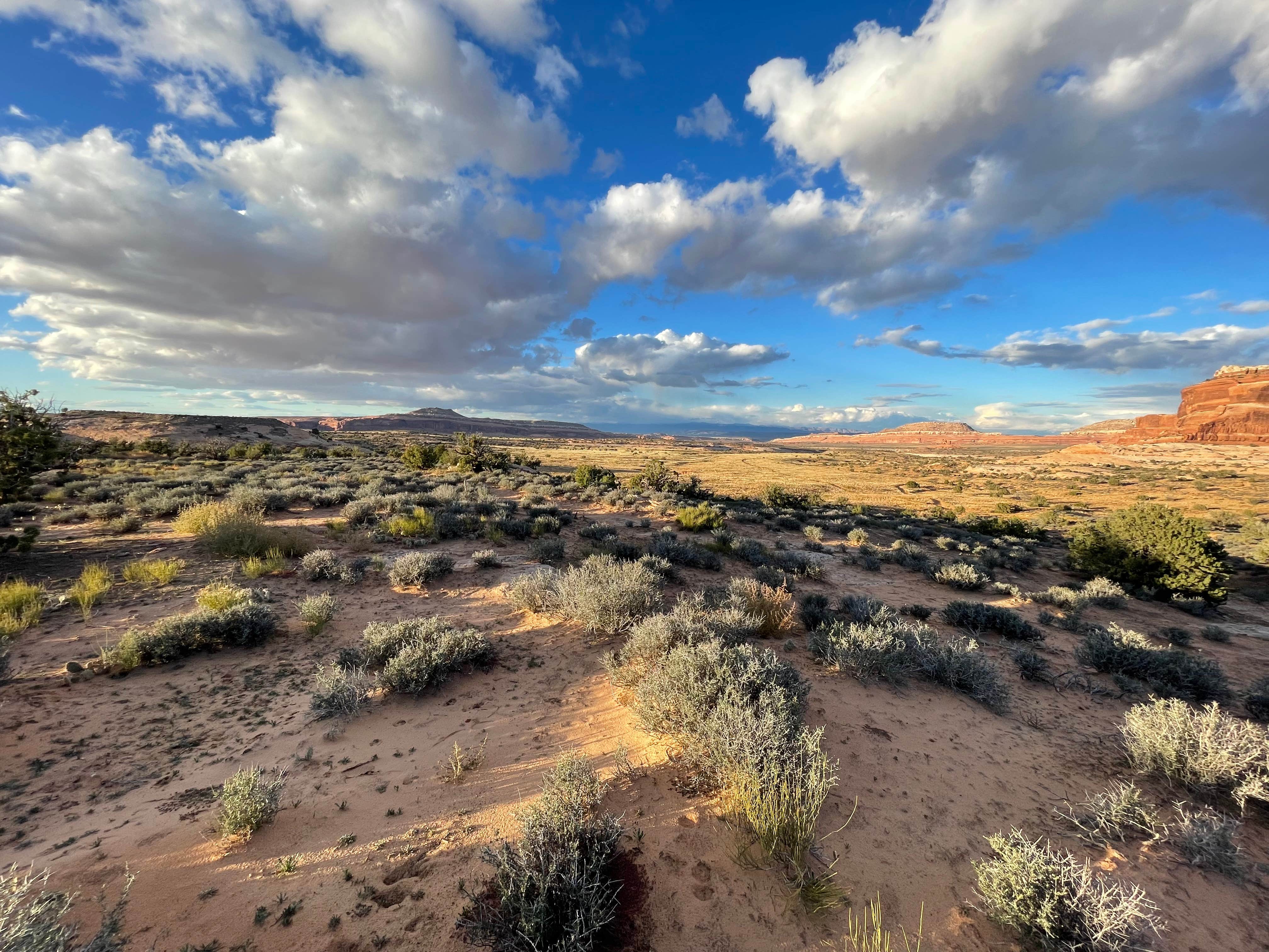 Aurora A.'s photo of a dispersed camping area at South Klondike Bluffs / Road 142 Dispersed near Arches National Park