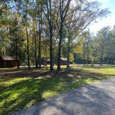 Review photo of Allaire State Park - TEMPORARILY CLOSED by Lisa D., October 15, 2021