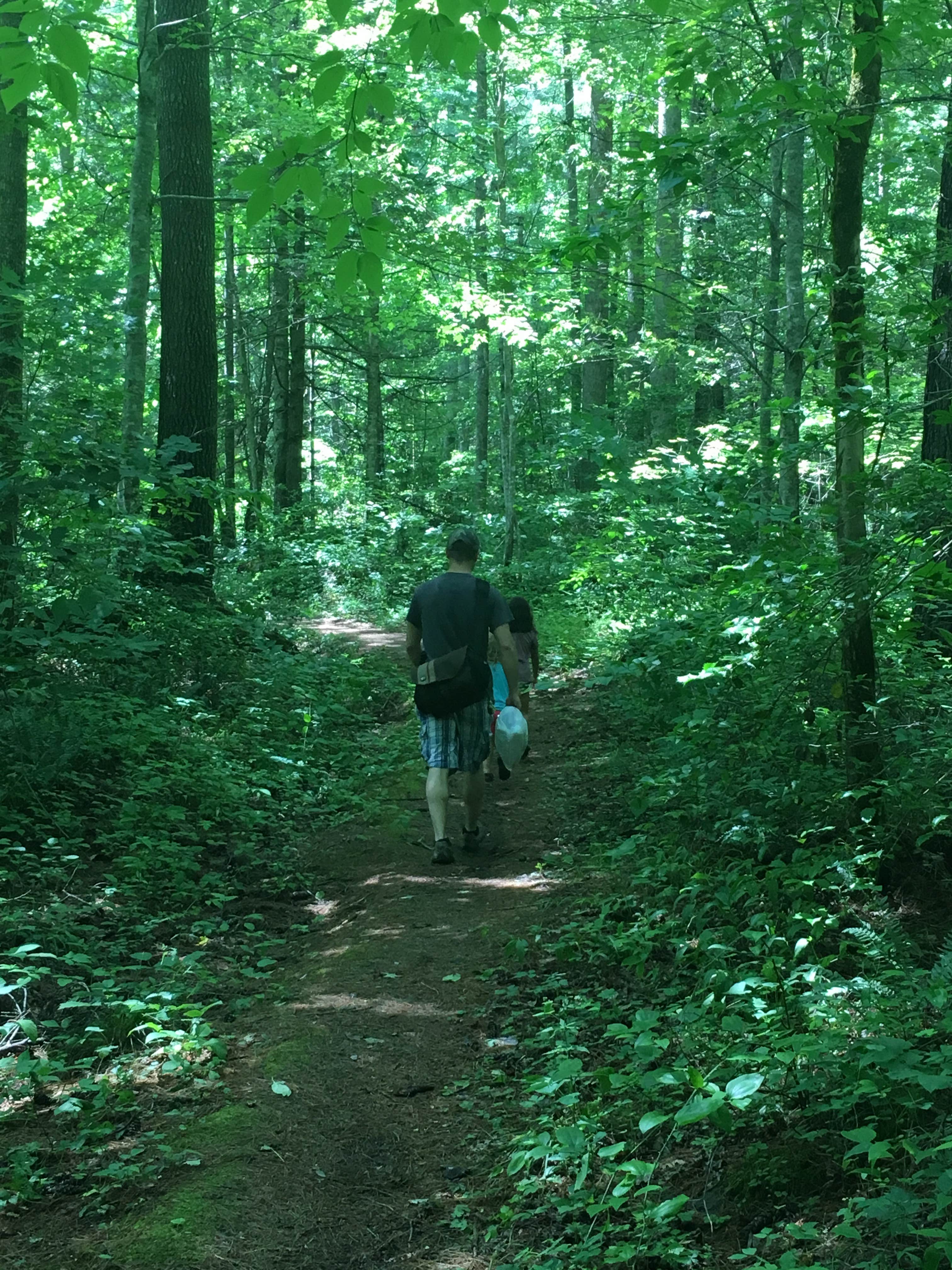 Camper-submitted photo at Horse Cove near Robbinsville, NC