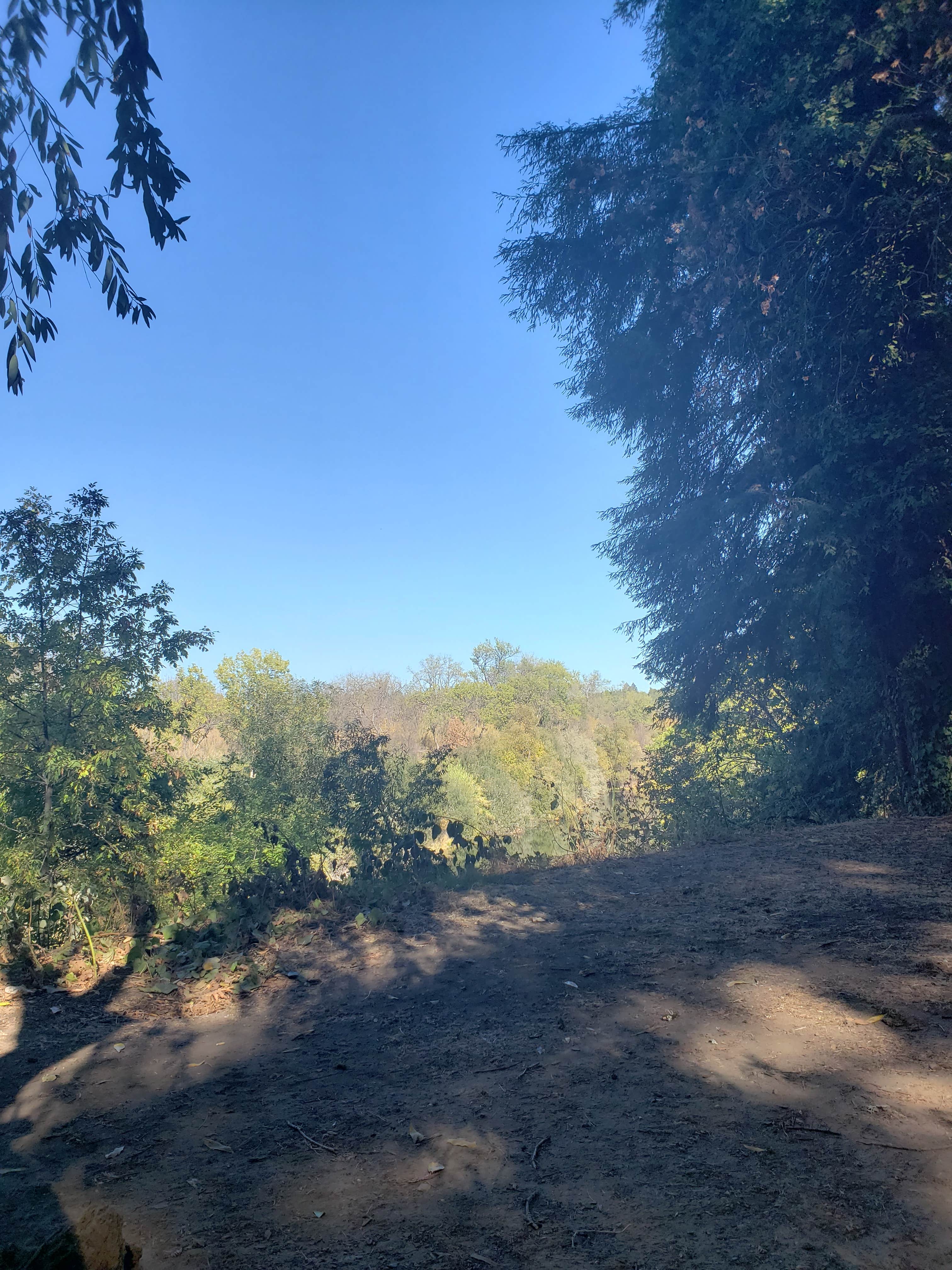 Camper-submitted photo at Mirabel RV Park & Campground near Rutherford, CA