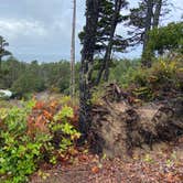 Review photo of Thousand Trails Pacific City by Pamela H., October 15, 2021