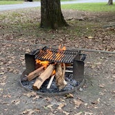 Review photo of Devil's Den State Park Campground by Carey O., October 16, 2021