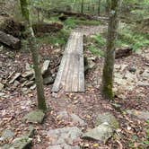 Review photo of Devil's Den State Park Campground by Carey O., October 16, 2021