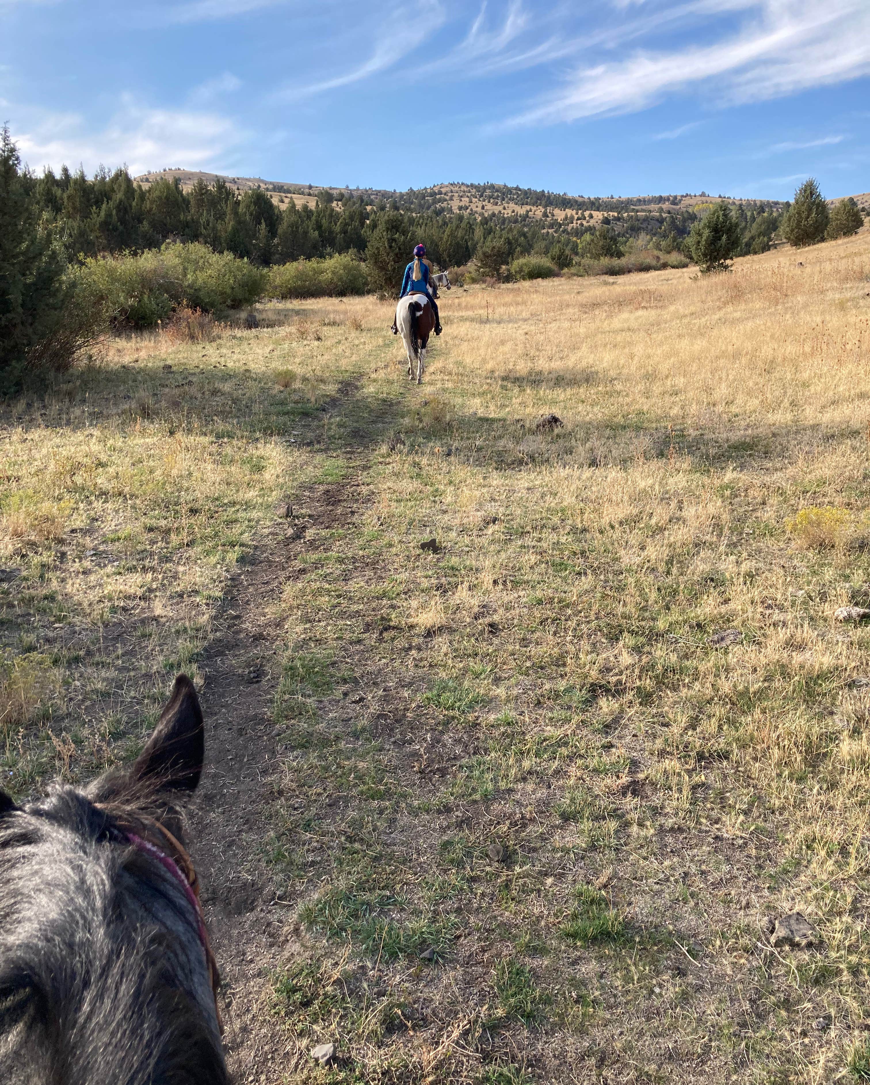 Camper-submitted photo at Wilson Ranches Retreat near Condon, OR