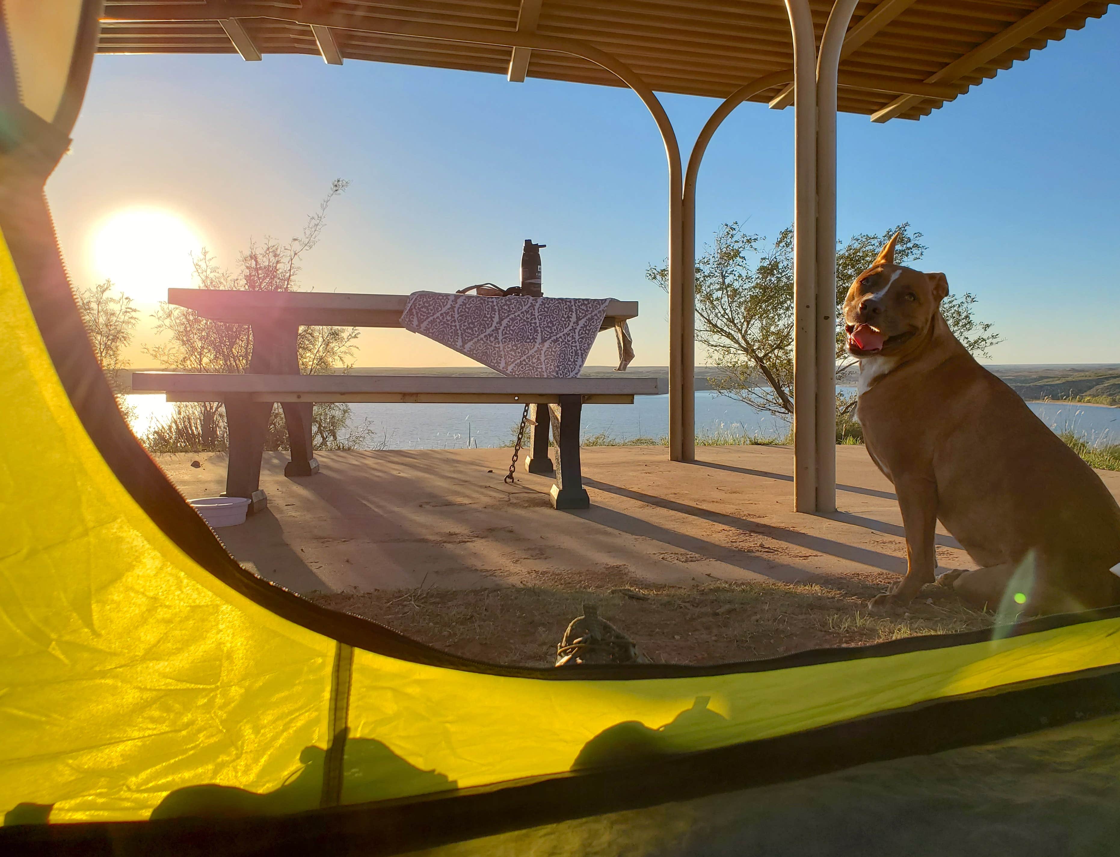 Chip's photo of camping with pets at Fritch Fortress Campground — Lake Meredith National Recreation Area near Lake Meredith National Recreation Area
