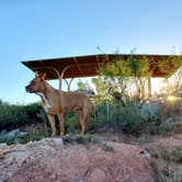 Review photo of Fritch Fortress Campground — Lake Meredith National Recreation Area by Chip , October 16, 2021