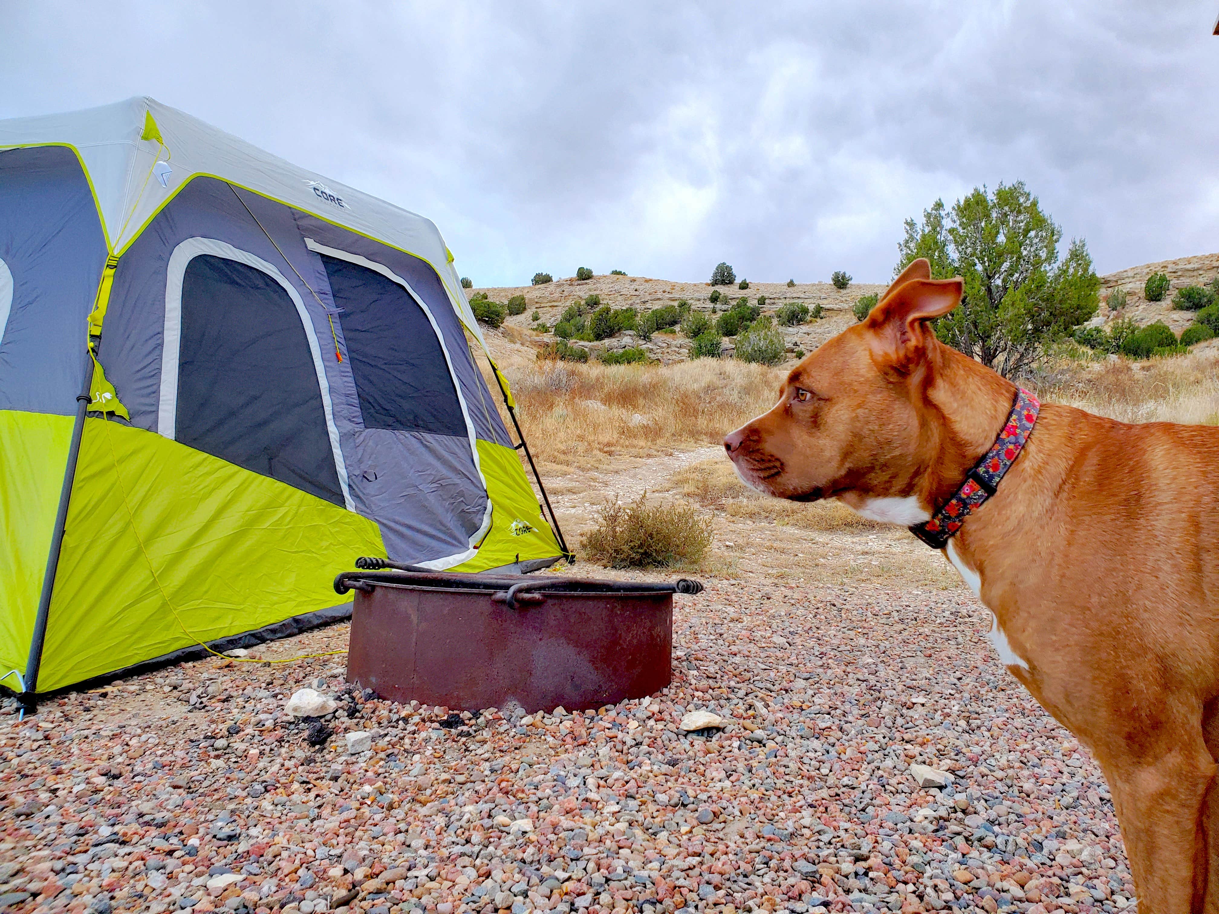 Chip's photo at Arkansas Point Campground — Lake Pueblo State Park near Beulah, CO