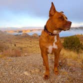 Review photo of Arkansas Point Campground — Lake Pueblo State Park by Chip , October 16, 2021