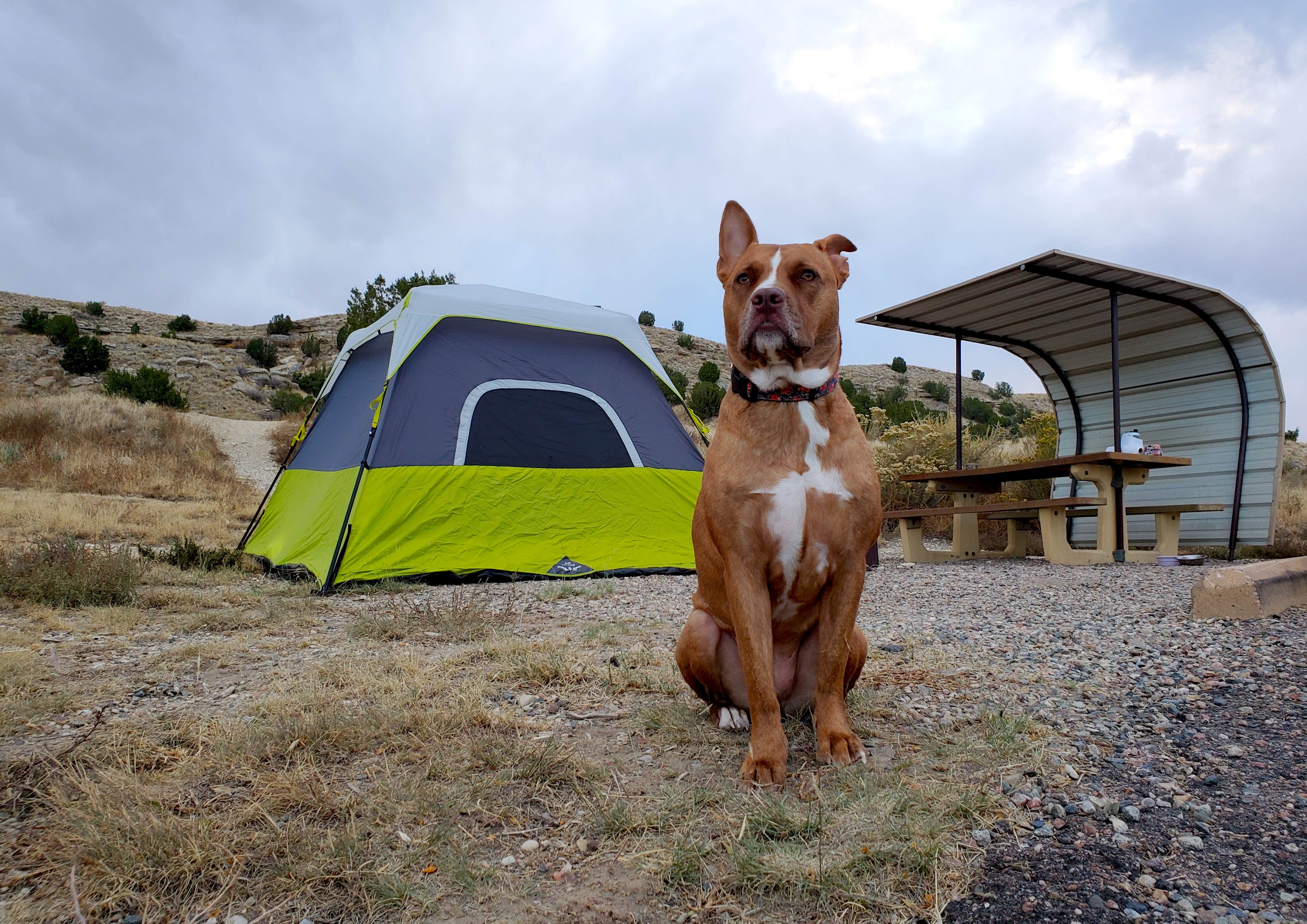 Chip's photo of camping with pets at Arkansas Point Campground — Lake Pueblo State Park near PSICC
