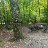 Review photo of Dry River — Crawford Notch State Park by Skyler , October 16, 2021