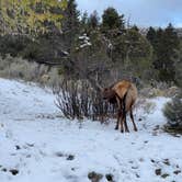 Review photo of Mammoth Campground — Yellowstone National Park by Grayson , October 16, 2021