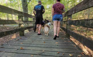 Mike K.'s photo of camping with pets at Clear Creek Recreation Area near Double Springs, AL