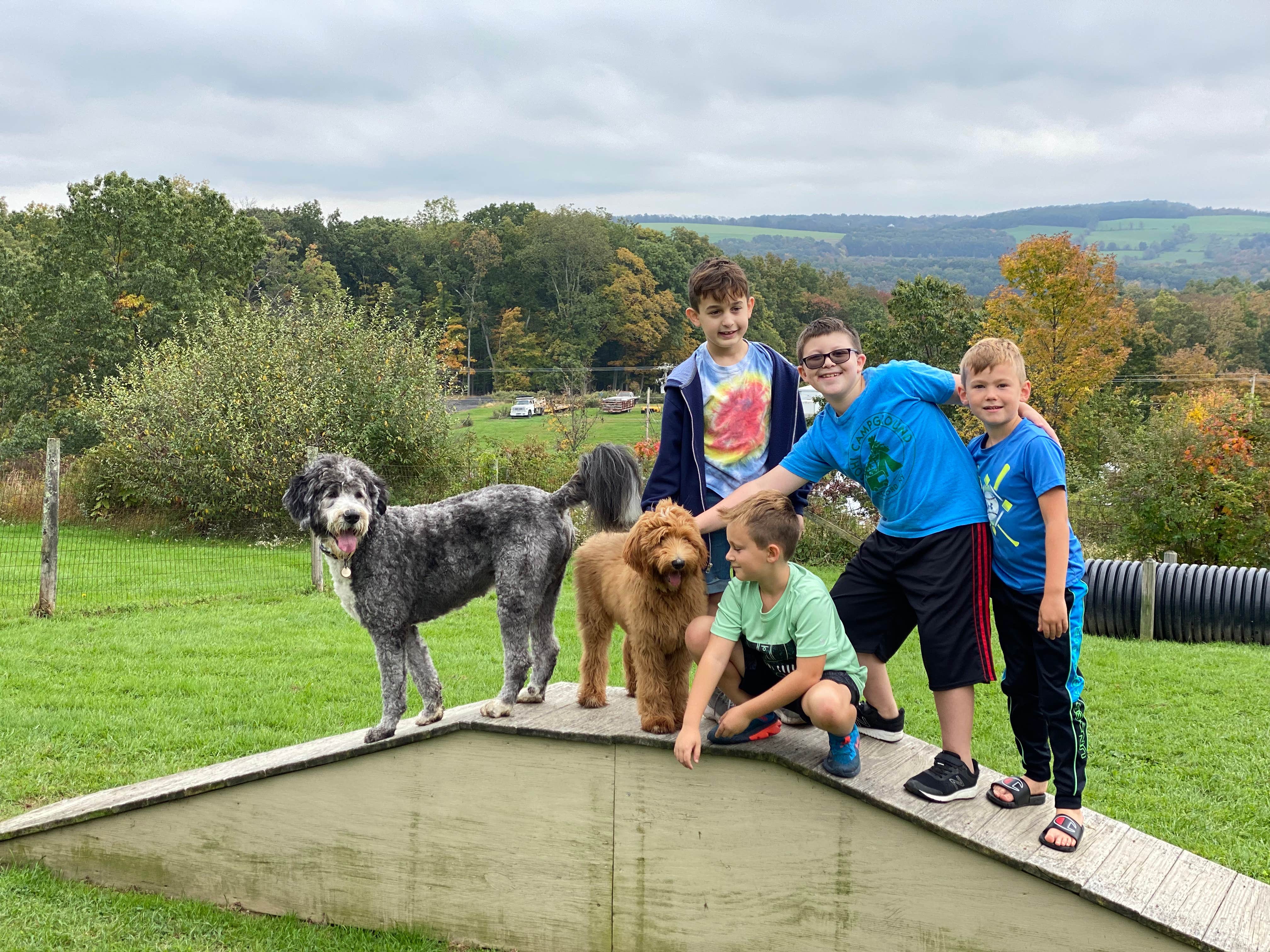 Janelle G.'s photo of camping with pets at Pleasant Acres Farm RV Resort near Wharton, NJ