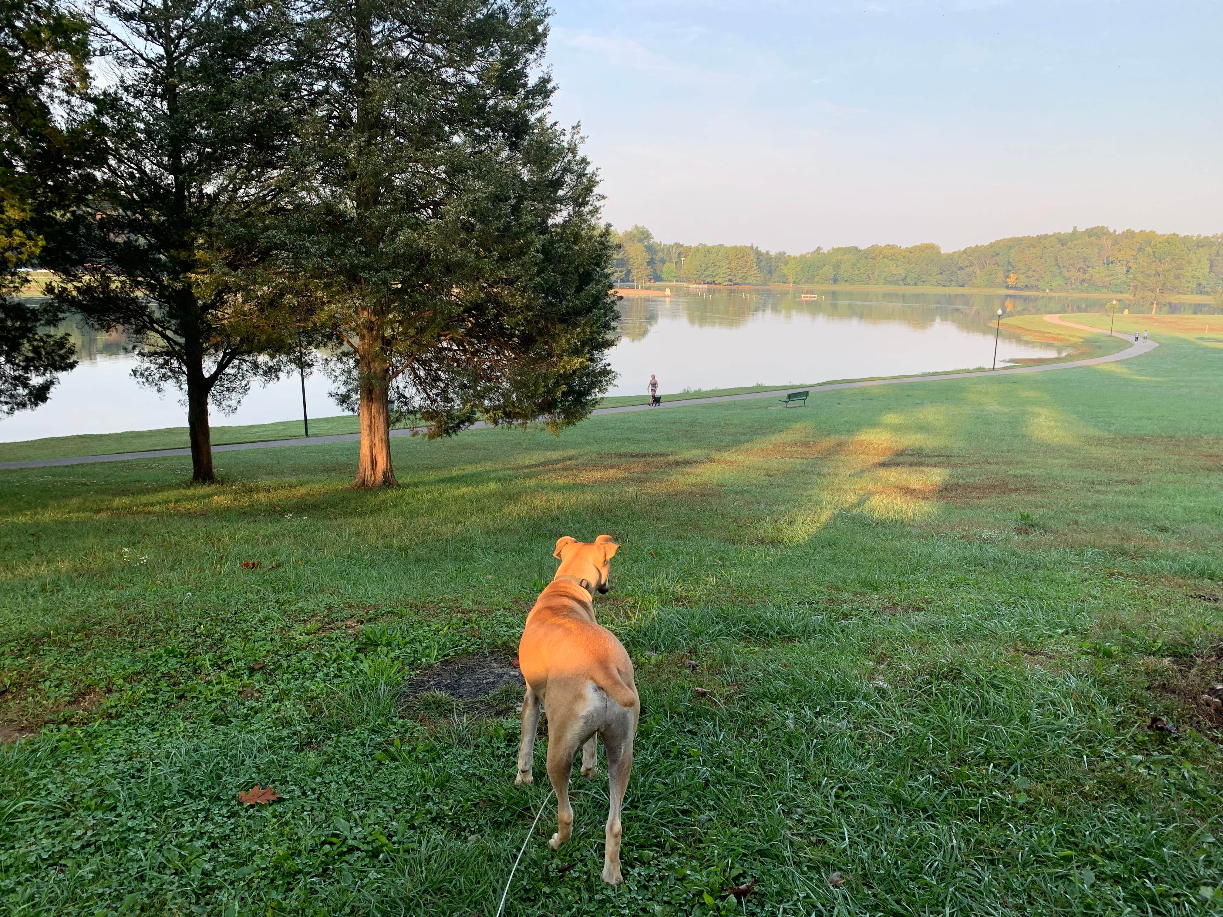 Kelsie E.'s photo of camping with pets at Buffalo Trace Park near New Pekin, IN