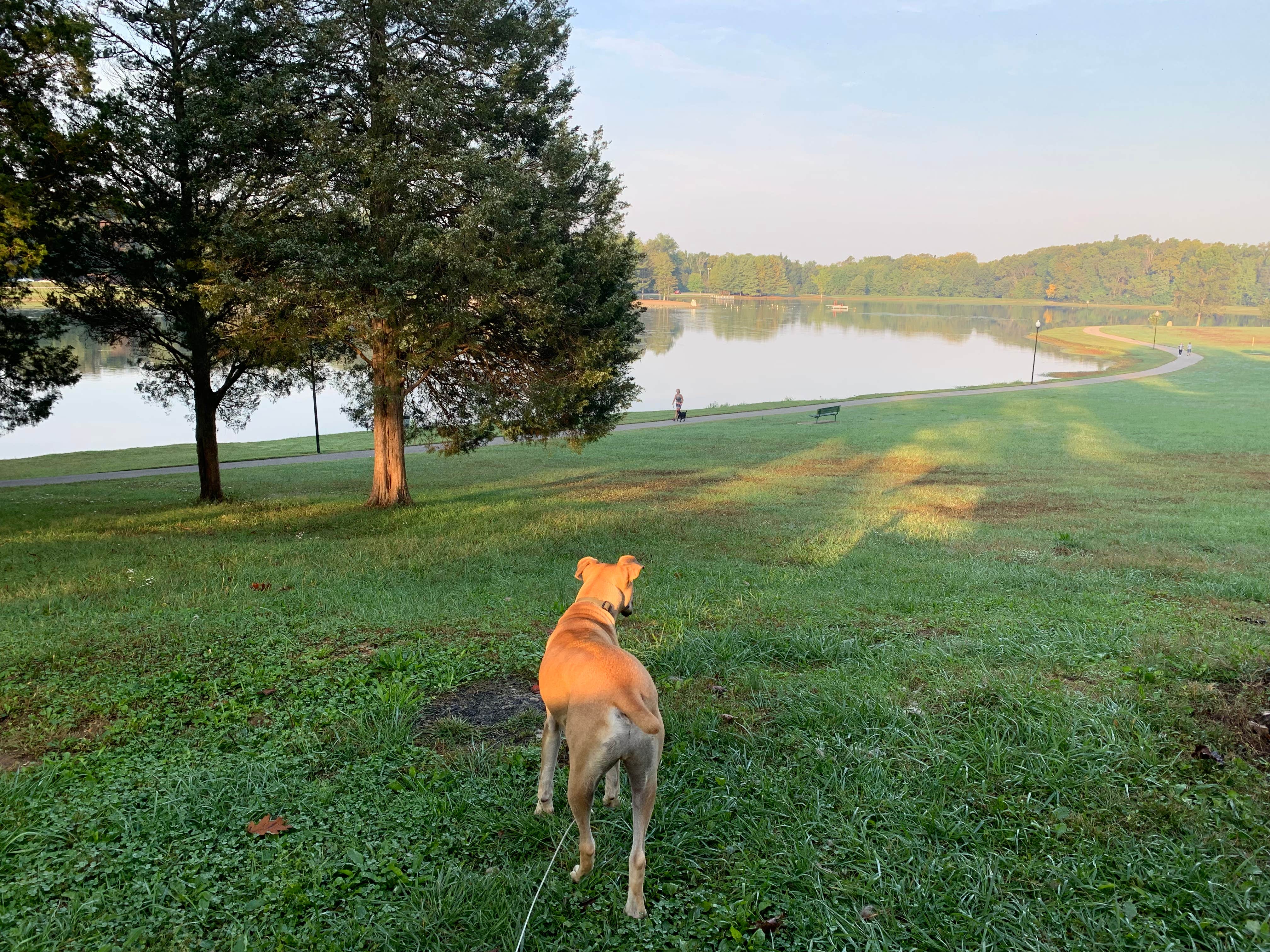 Camper submitted image from Buffalo Trace Park - 5