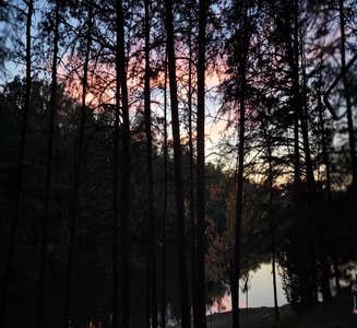 Camper-submitted photo from Paradise Lake & Campground