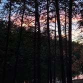 Review photo of Paradise Lake & Campground by Denise D., October 16, 2021