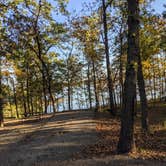 Review photo of Long Branch State Park Campground by Campfiresandcoffee94  ., October 16, 2021