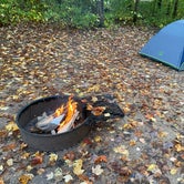 Review photo of Wyalusing State Park Campground by Dana K., October 16, 2021