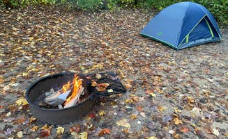 Dana K.'s photo at Wyalusing State Park Campground near Guttenberg, IA