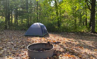 Dana K.'s photo at Homestead Campground — Wyalusing State Park near Elkader, IA