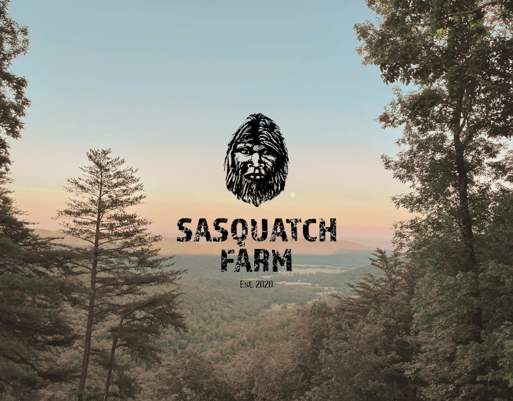 Camper submitted image from Sasquatch Farm - 1