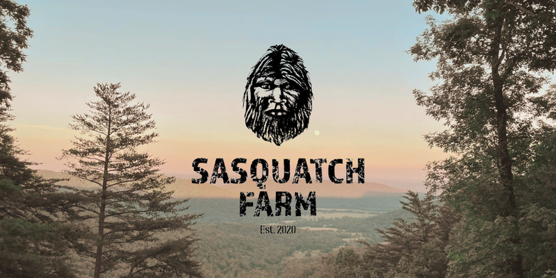Camper submitted image from Sasquatch Farm