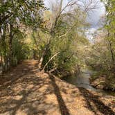 Review photo of South Dutch Charlie Creek by William S., October 15, 2021