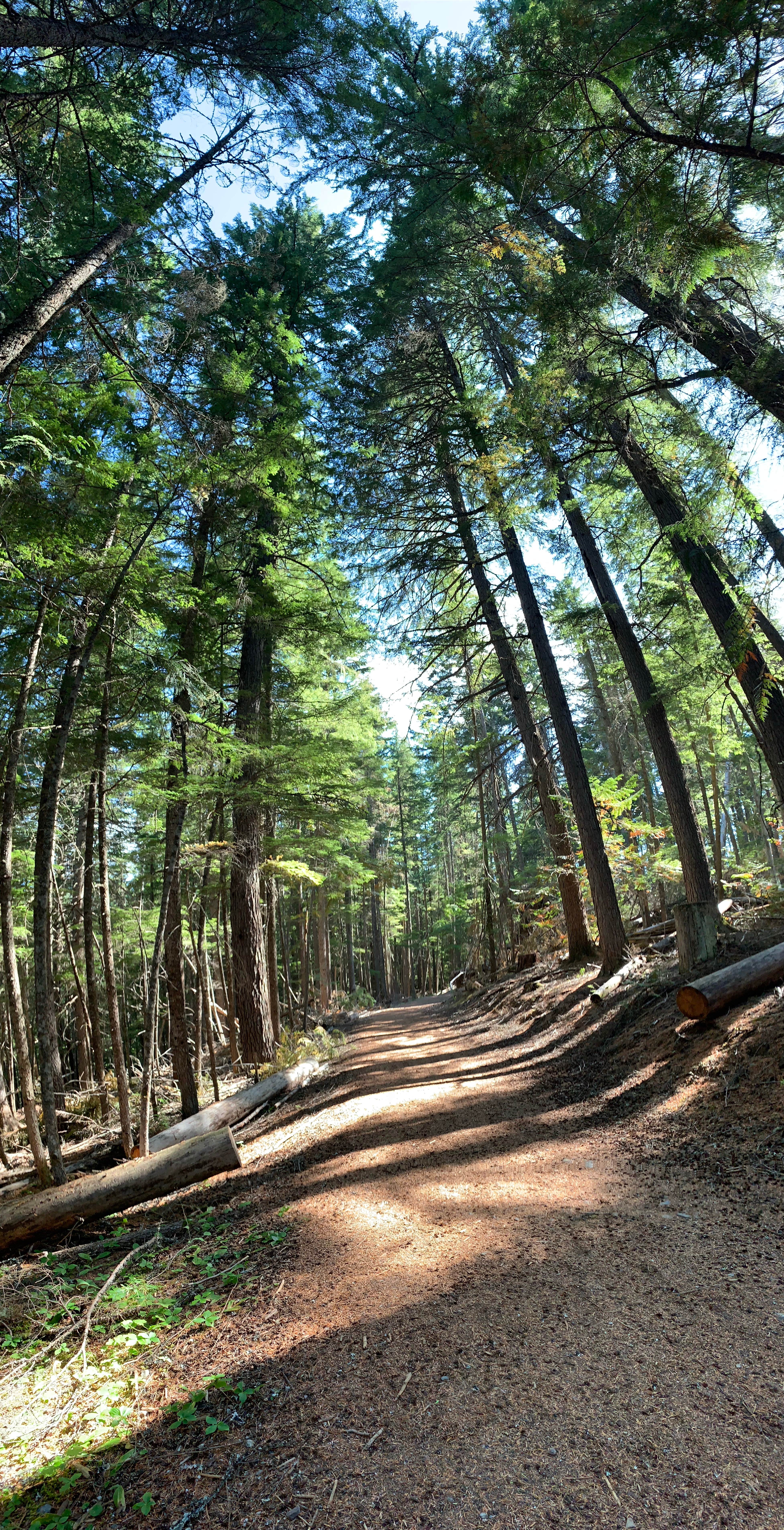 Camper submitted image from Beaver Creek - 3