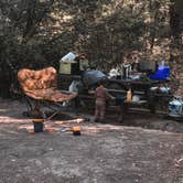 Review photo of Hidden Springs Campground — Humboldt Redwoods State Park by Chanel C., October 16, 2021