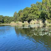 Review photo of Martin Creek Lake State Park Campground by Brianna B., October 16, 2021